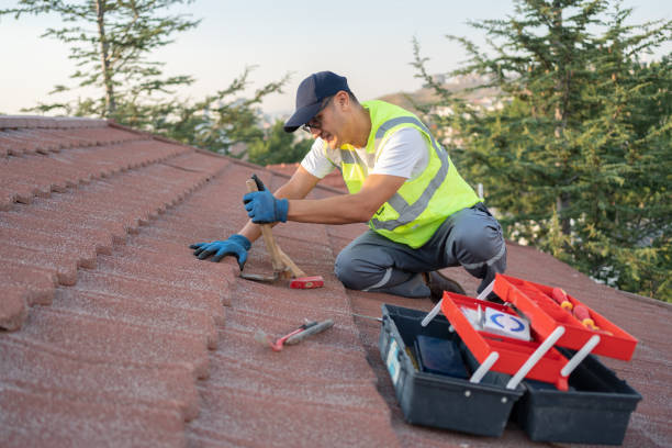 Best Roof Gutter Cleaning  in Lexico, CA